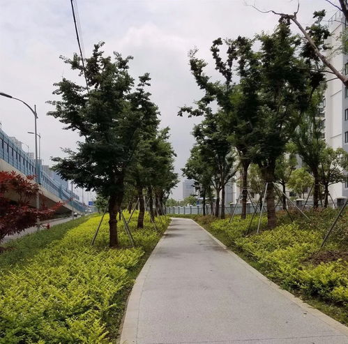 匠心鑄綠韻，昆山石林綠化有限責任公司參評2017全國風景園林工程項目紀實
