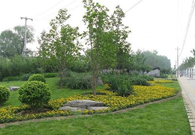 園林綠化工程的類別劃分與專業解析