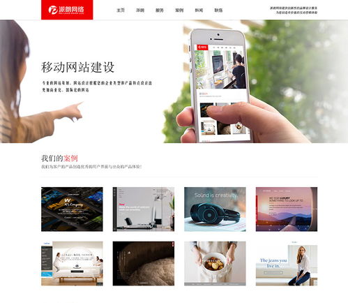 深圳網(wǎng)站建設(shè)網(wǎng)站制做 價(jià)格 4800元 套